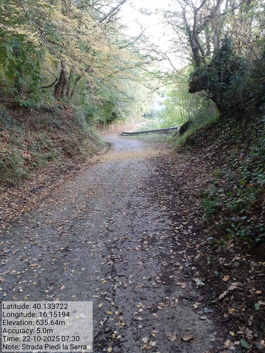 Galleria Fotografica Immagine