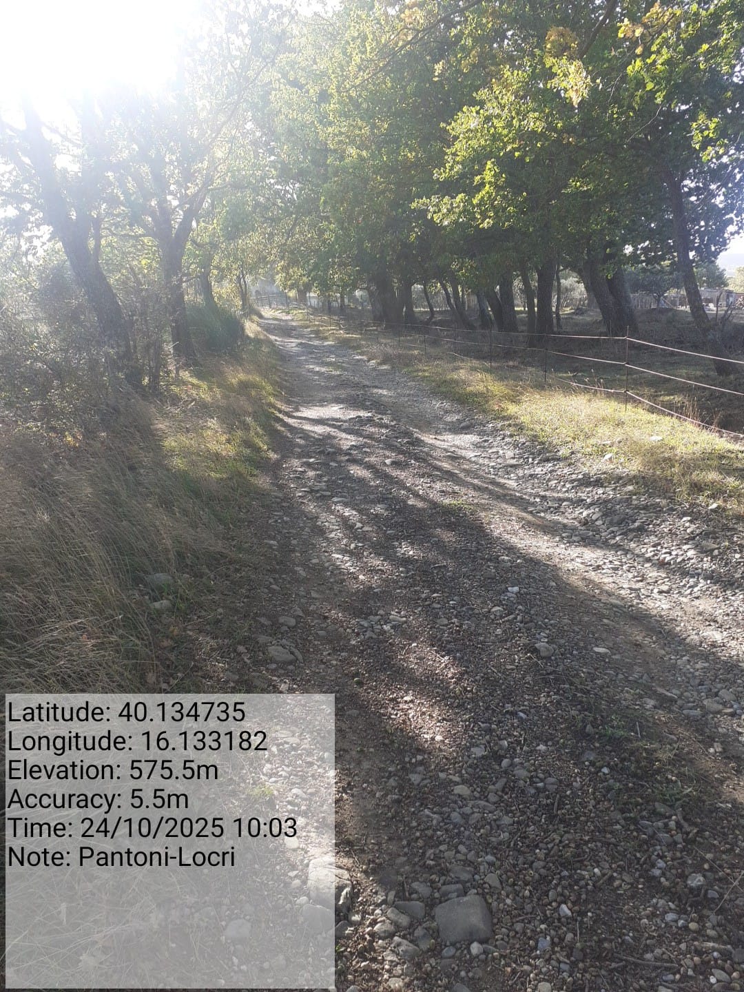 Galleria Fotografica Immagine