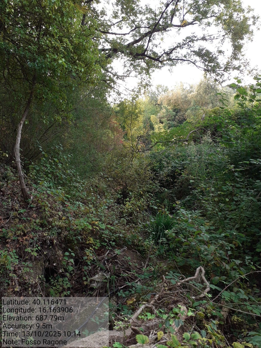 Galleria Fotografica Immagine