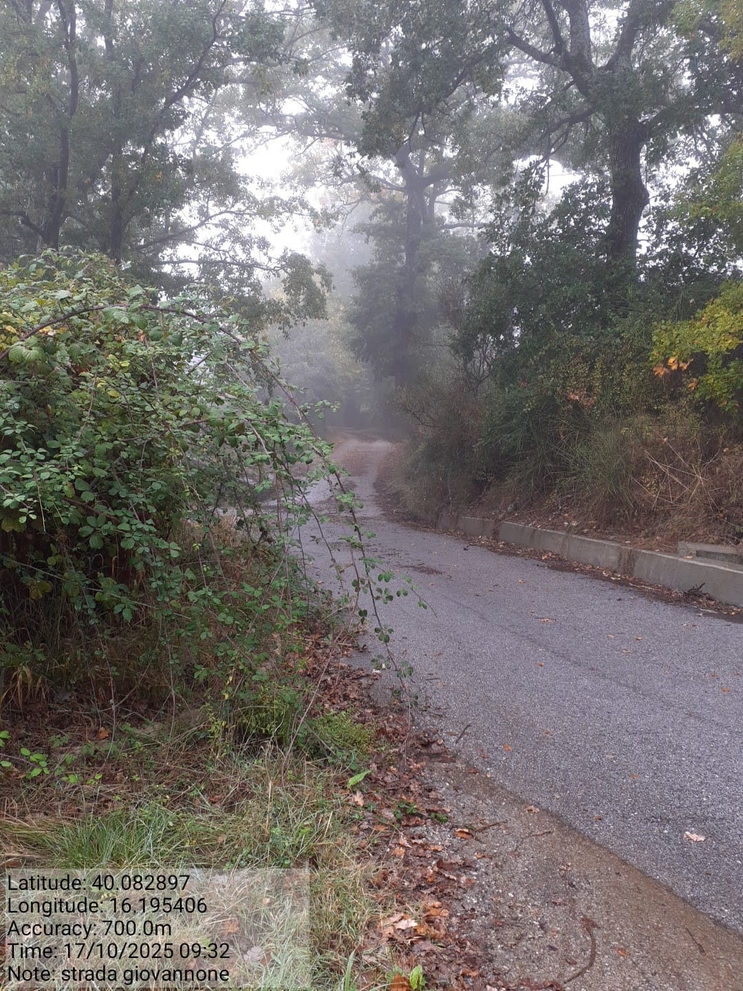 Galleria Fotografica Immagine