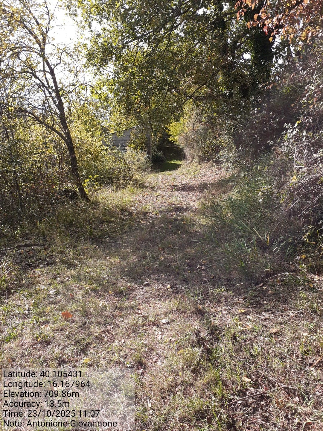 Galleria Fotografica Immagine