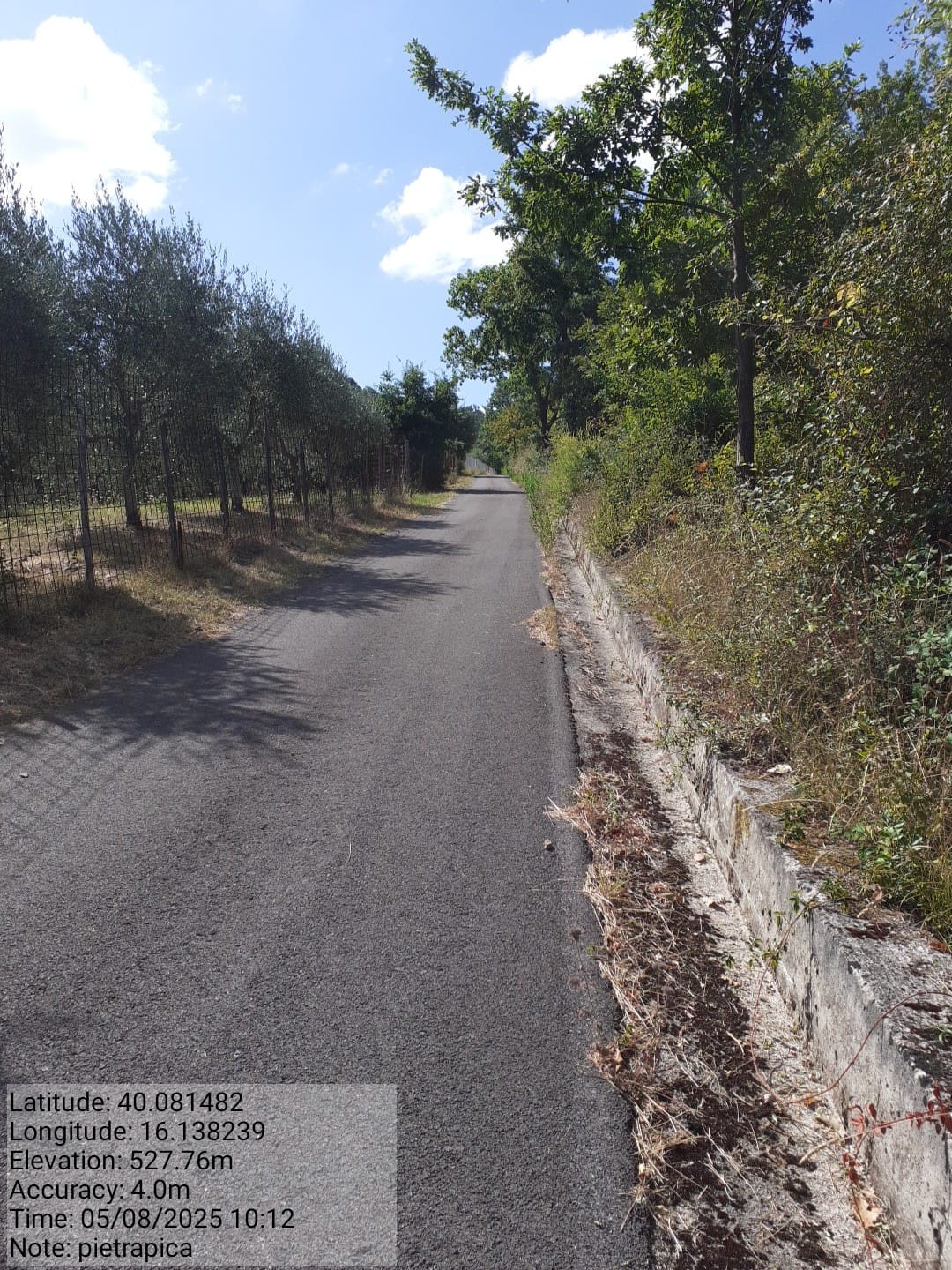 Galleria Fotografica Immagine