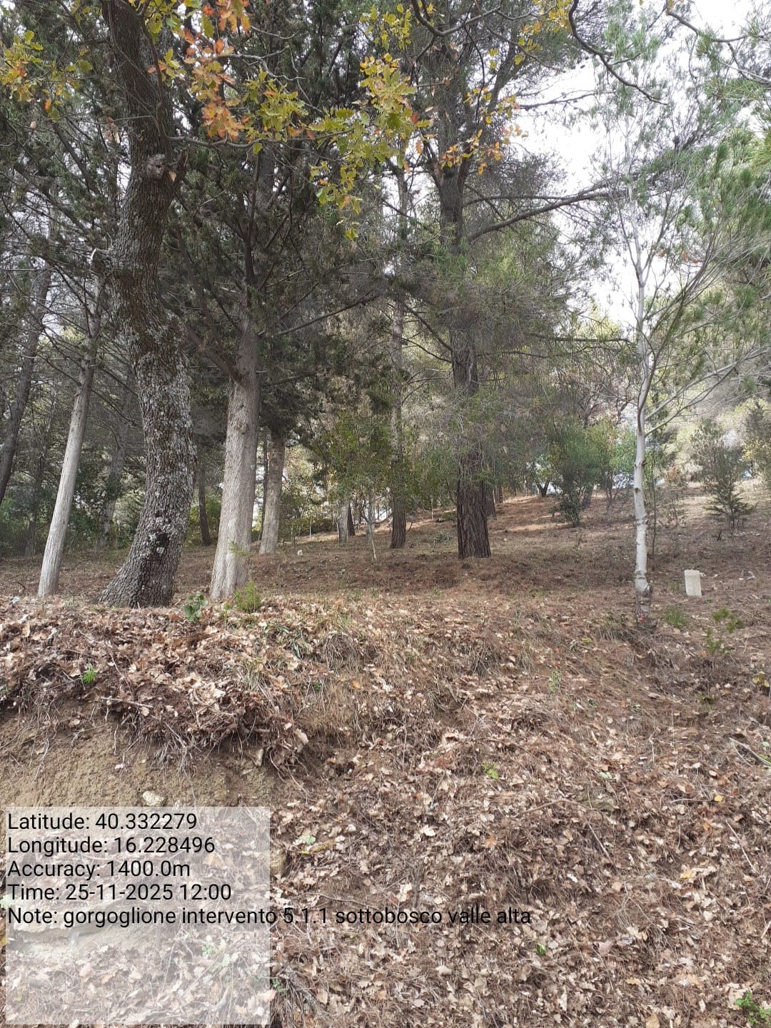 Galleria Fotografica Immagine