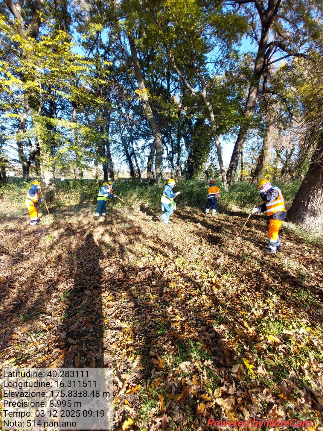 Galleria Fotografica Immagine