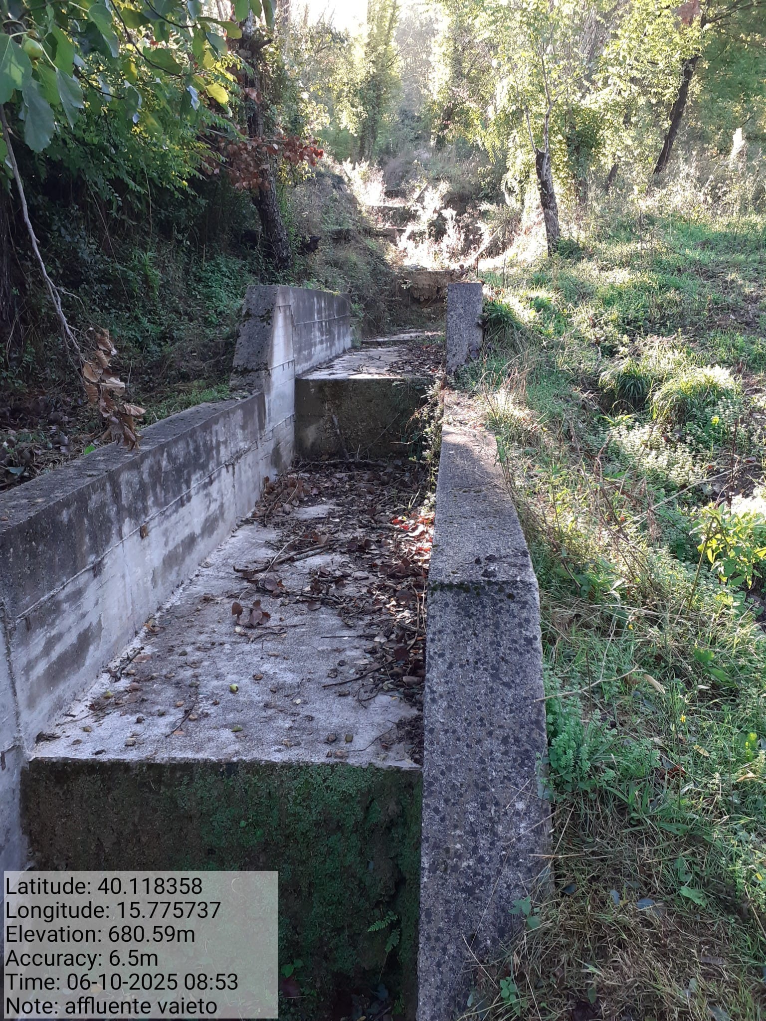 Galleria Fotografica Immagine