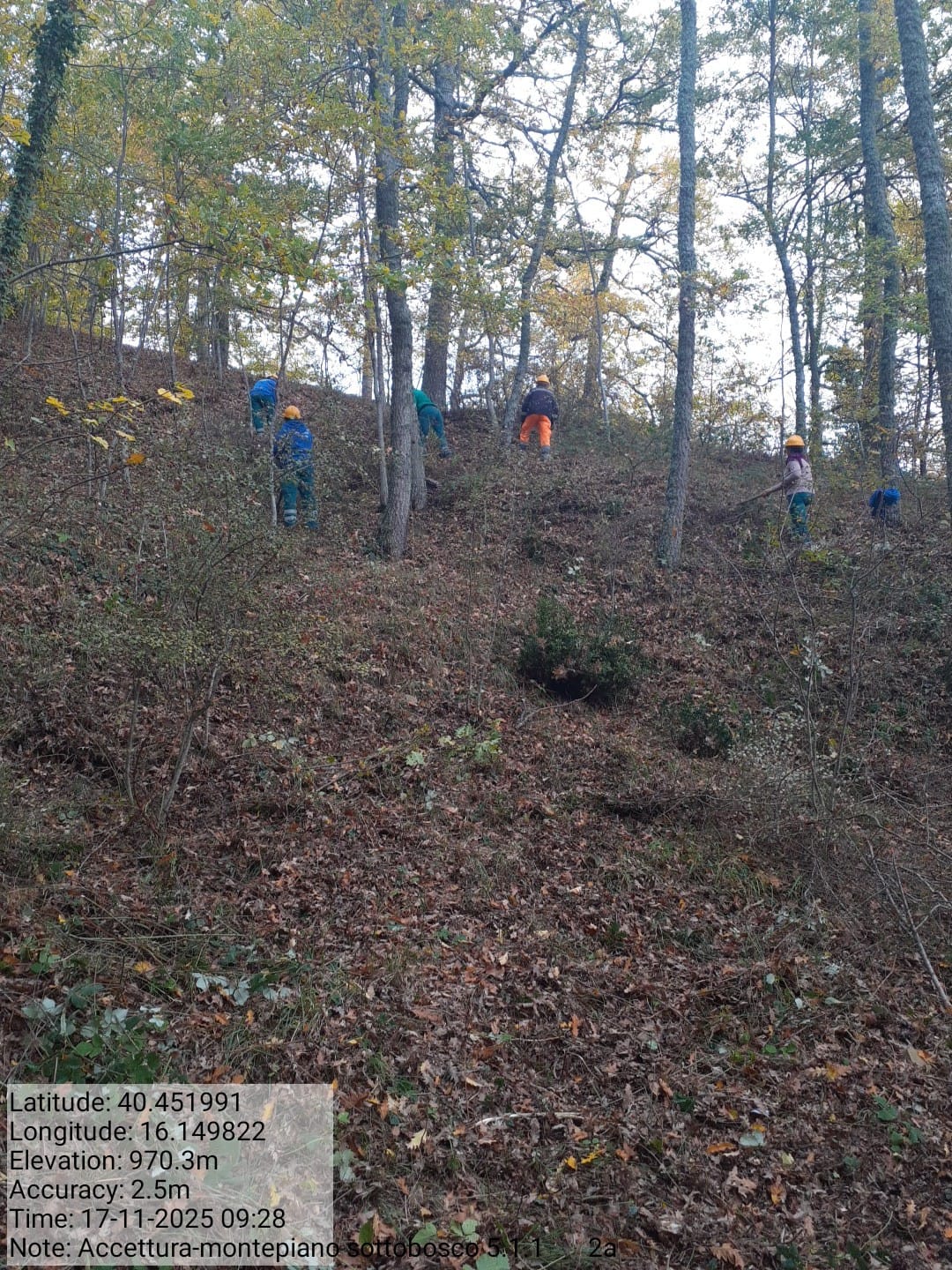 Galleria Fotografica Immagine