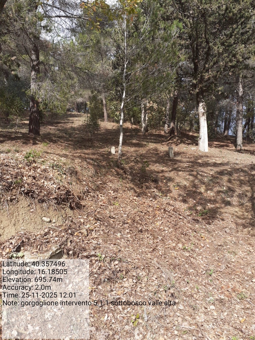 Galleria Fotografica Immagine