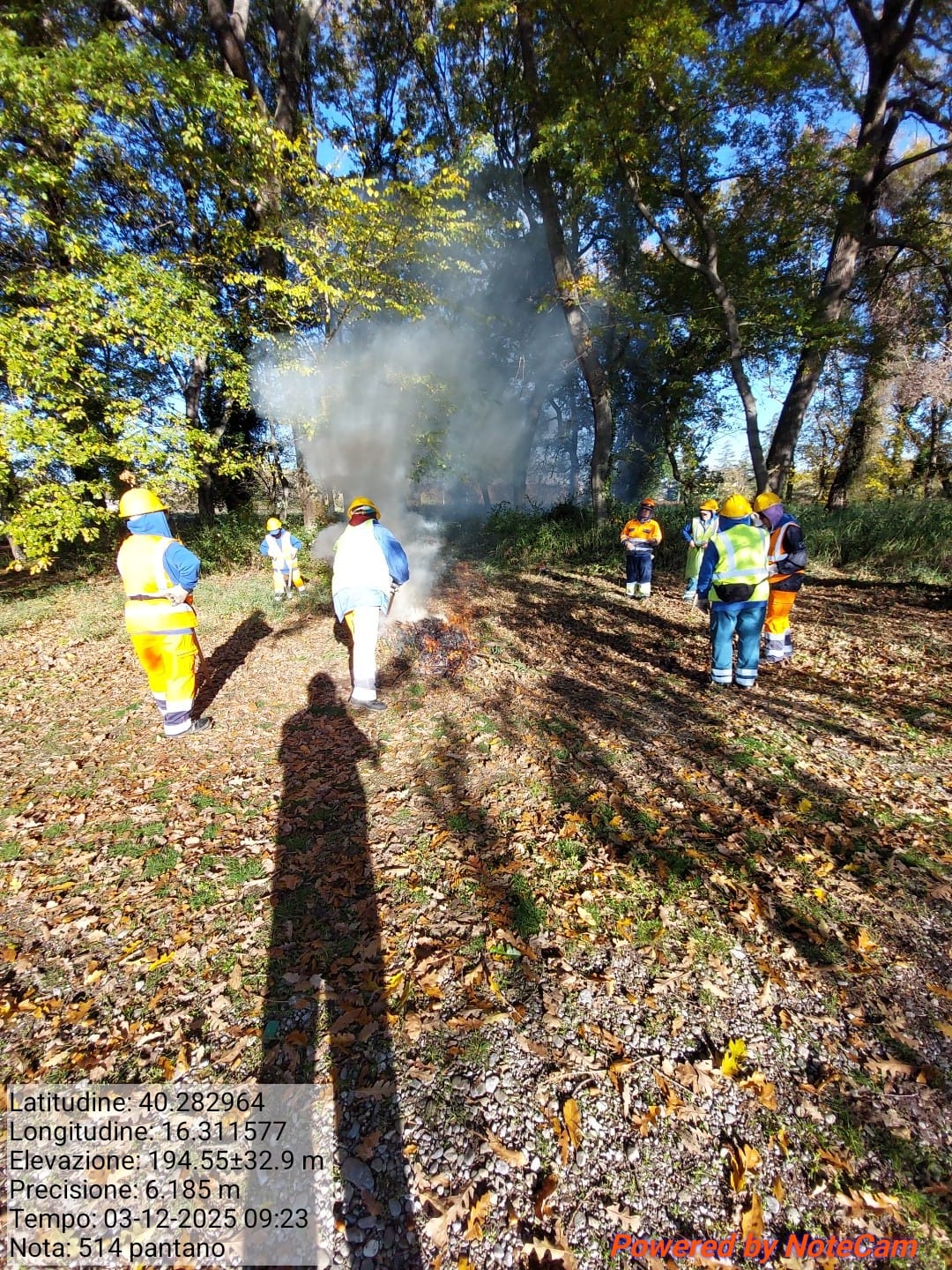 Galleria Fotografica Immagine