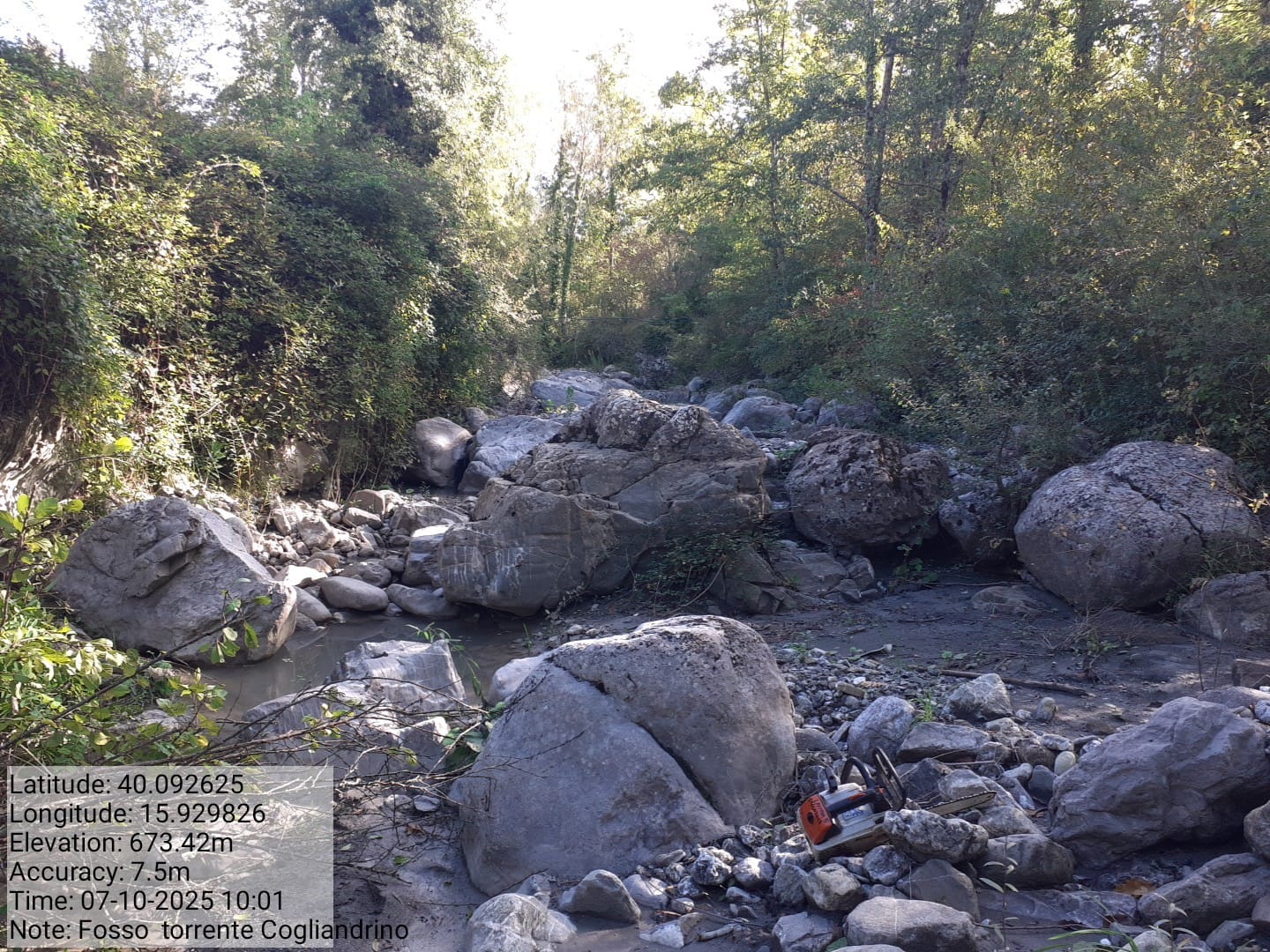 Galleria Fotografica Immagine