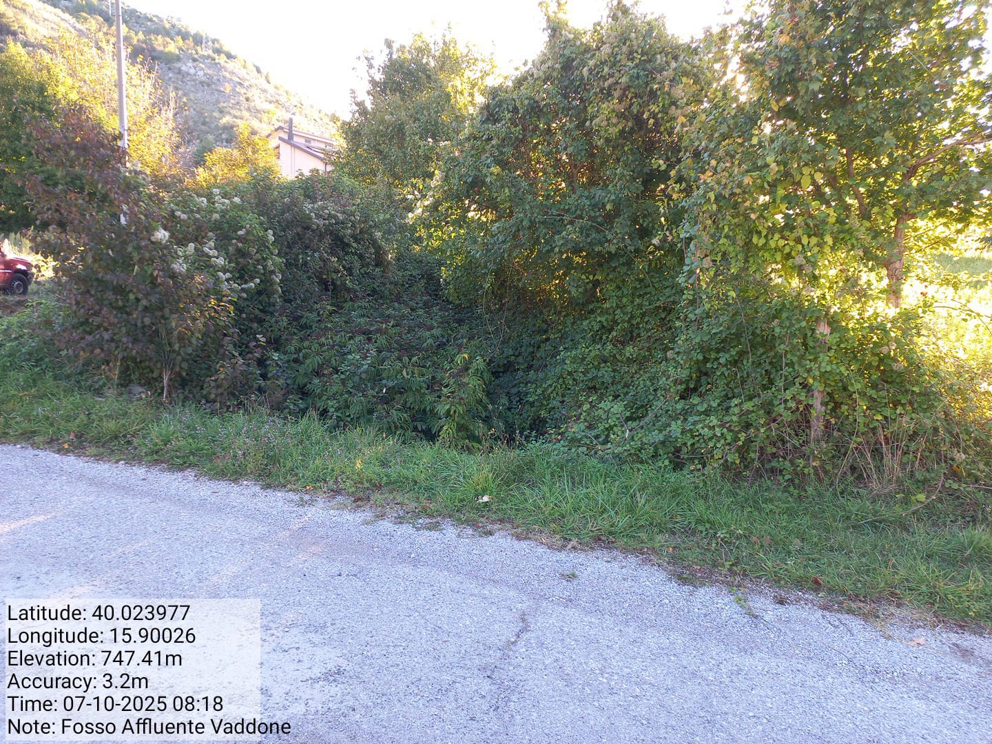 Galleria Fotografica Immagine