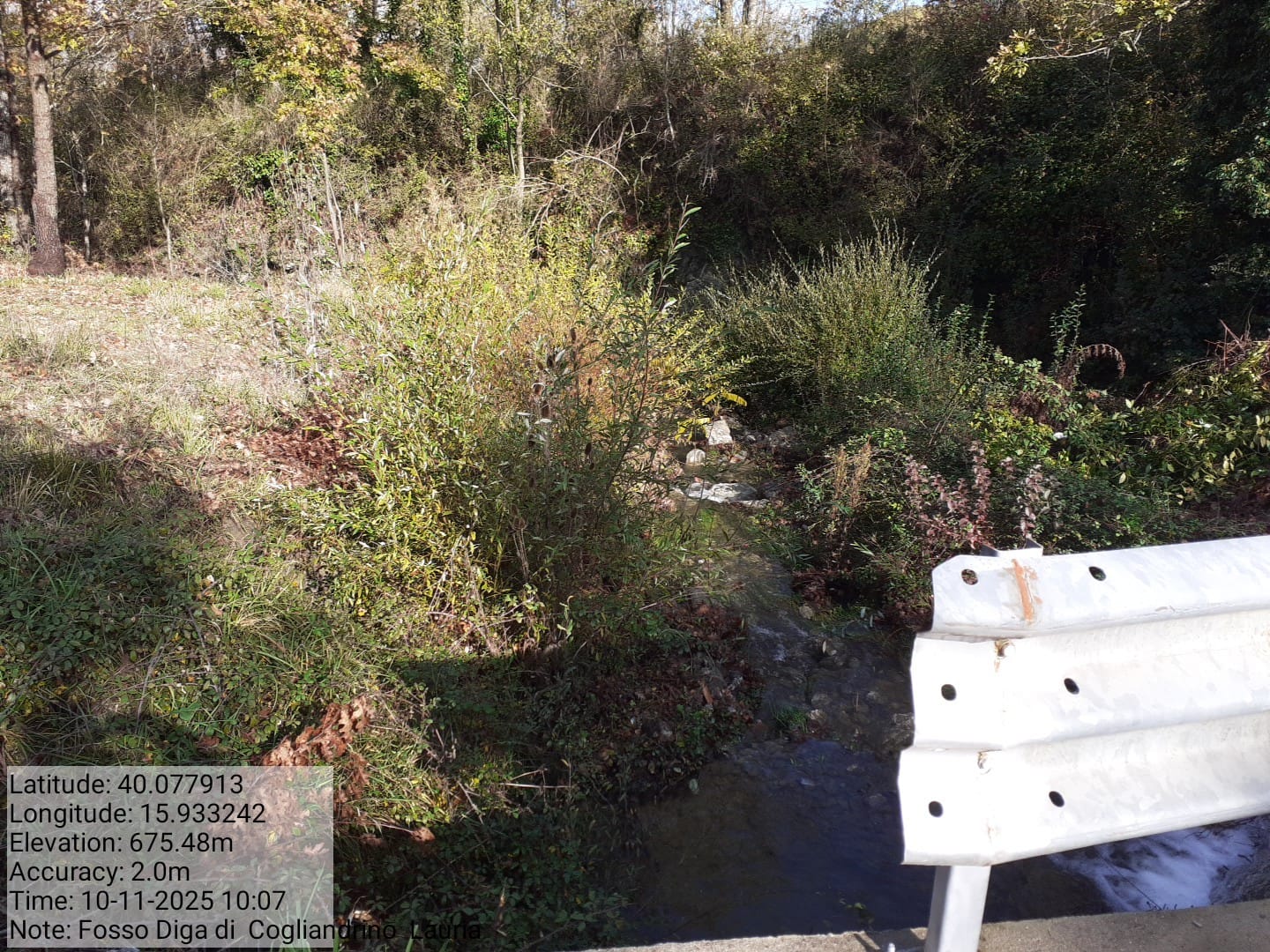 Galleria Fotografica Immagine