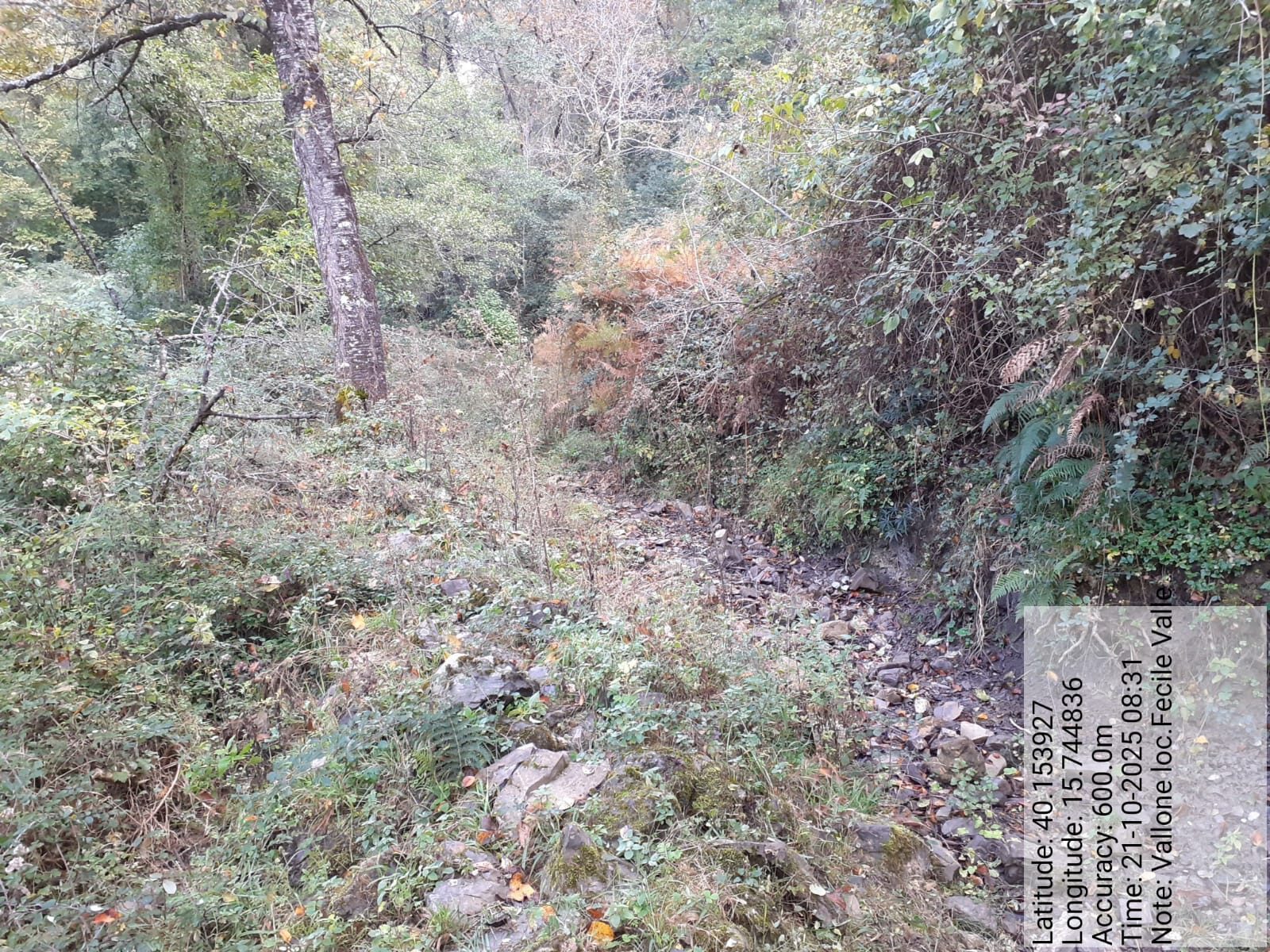 Galleria Fotografica Immagine