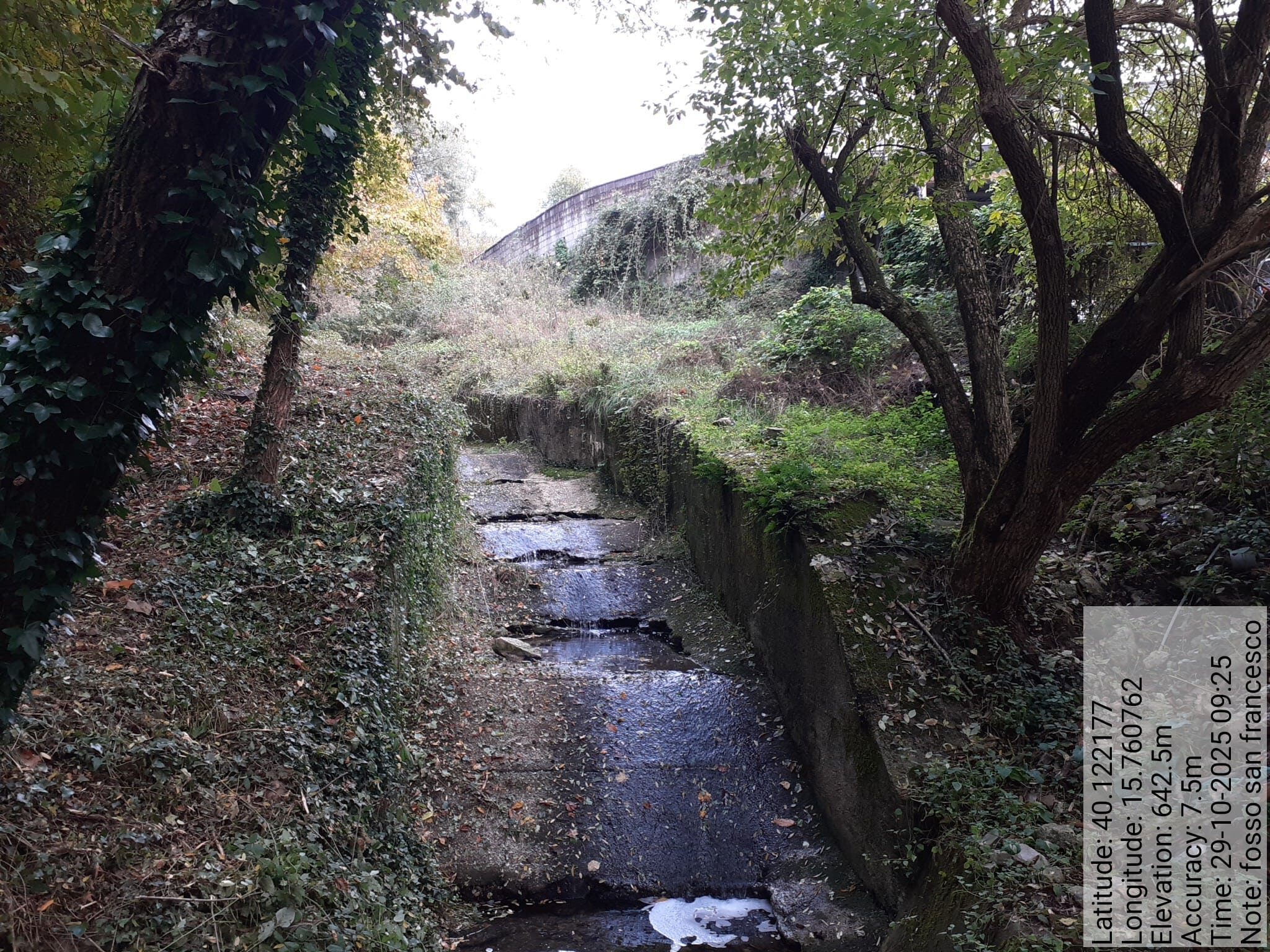 Galleria Fotografica Immagine