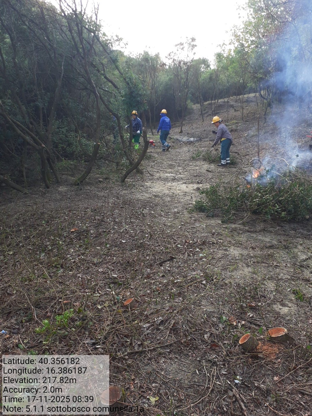 Galleria Fotografica Immagine