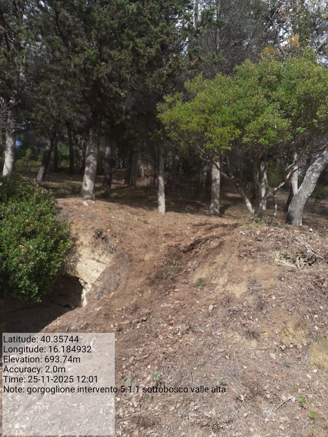 Galleria Fotografica Immagine