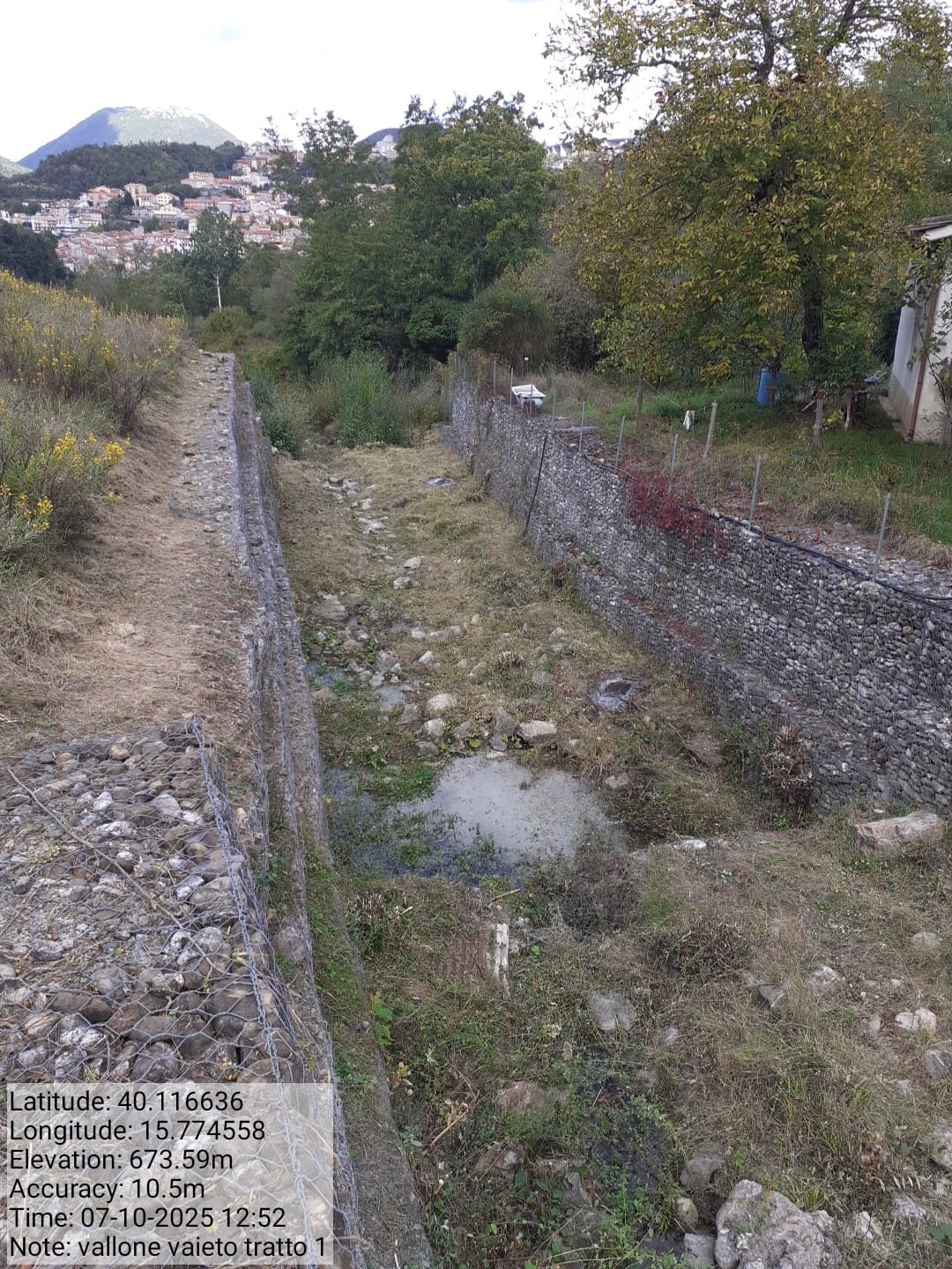 Galleria Fotografica Immagine