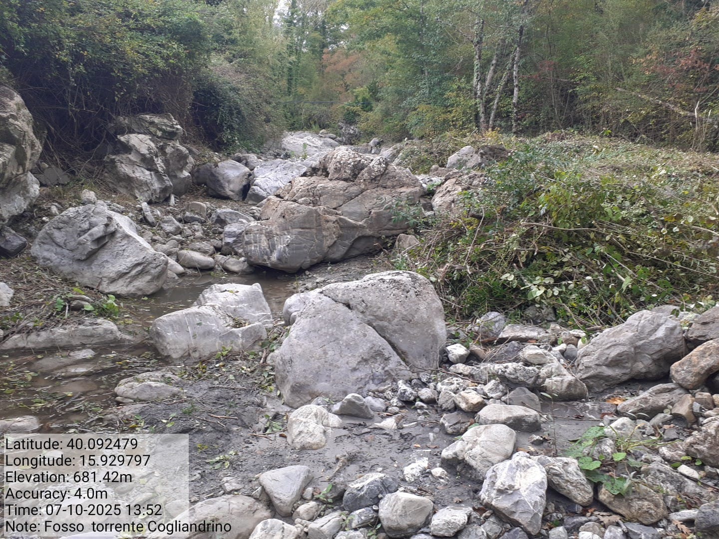 Galleria Fotografica Immagine