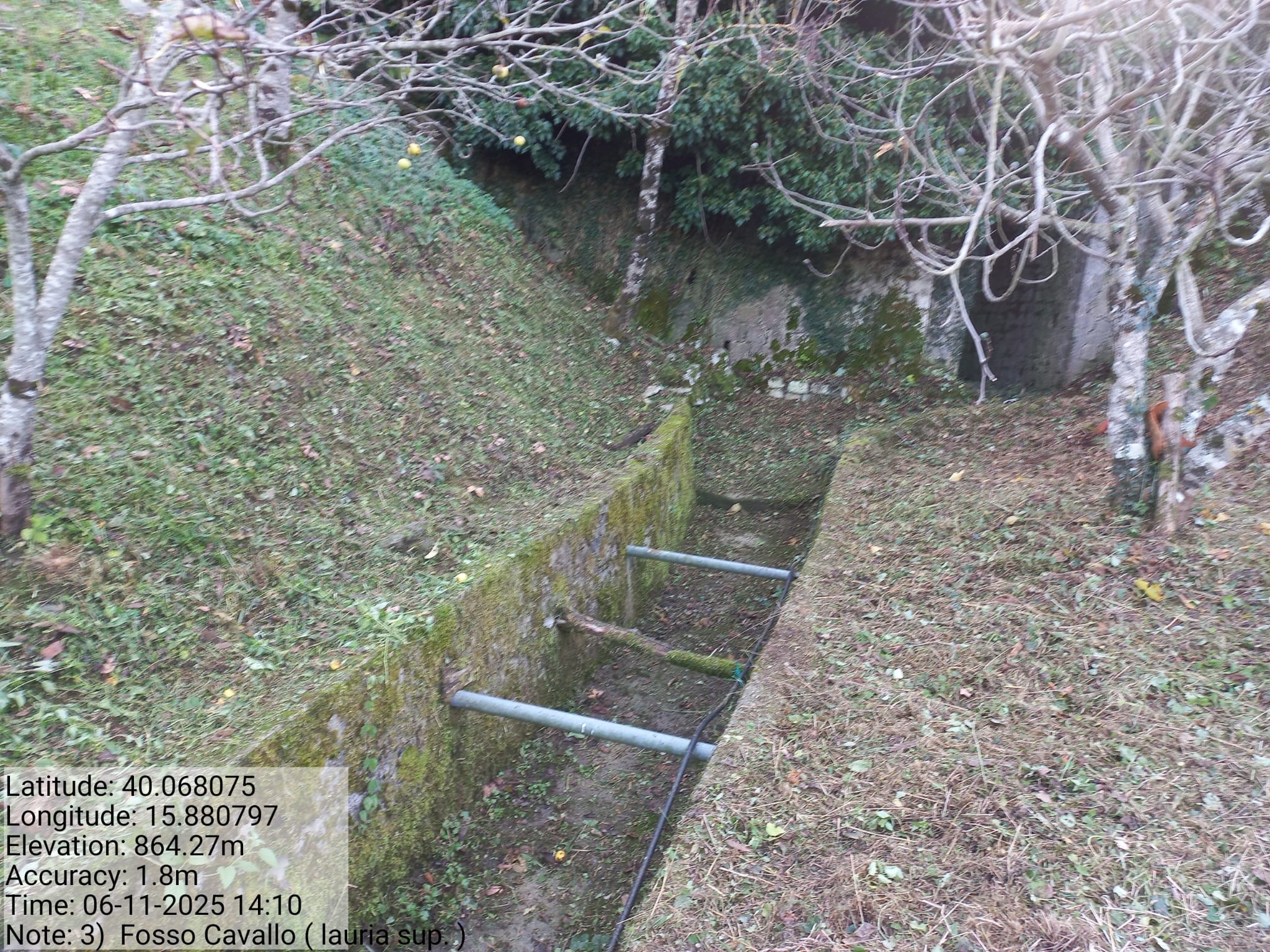 Galleria Fotografica Immagine