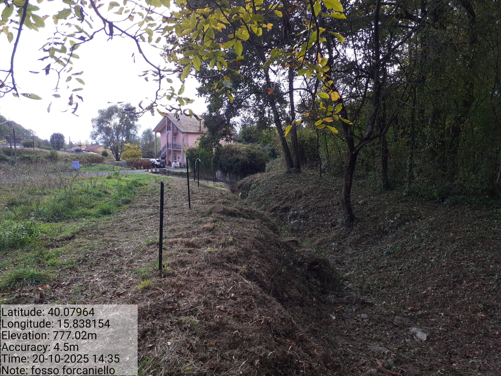 Galleria Fotografica Immagine