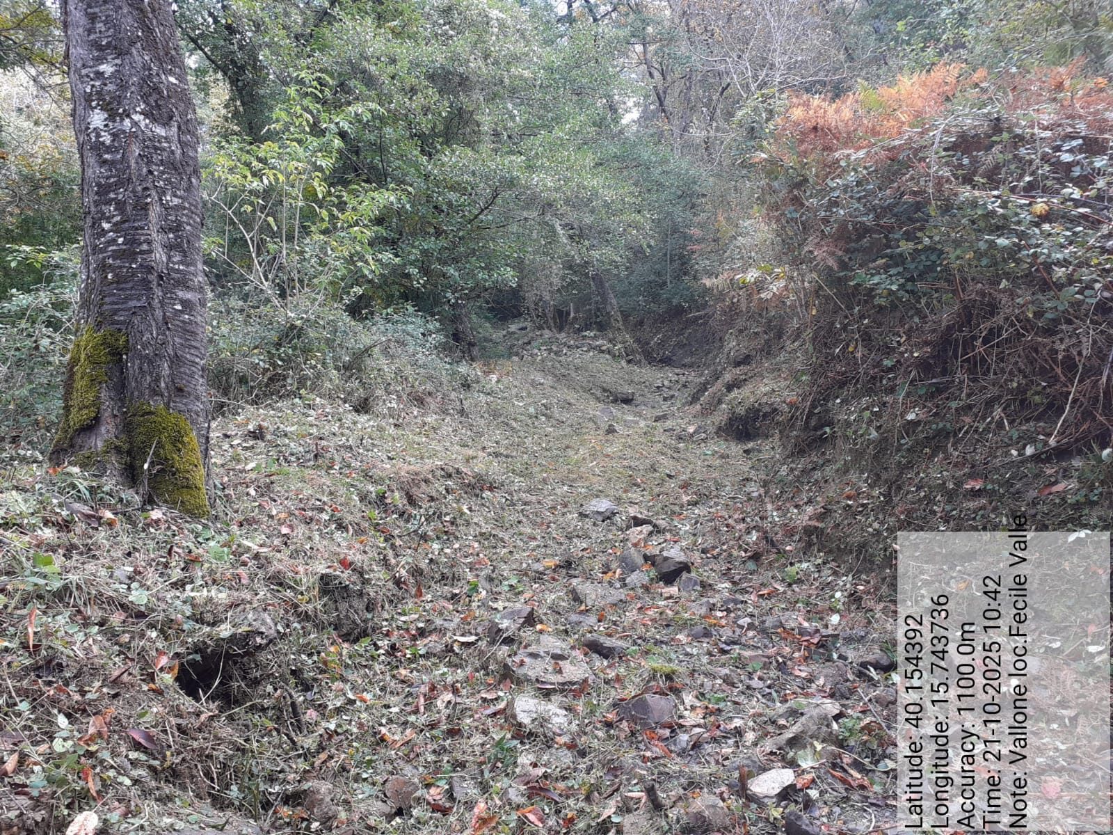 Galleria Fotografica Immagine