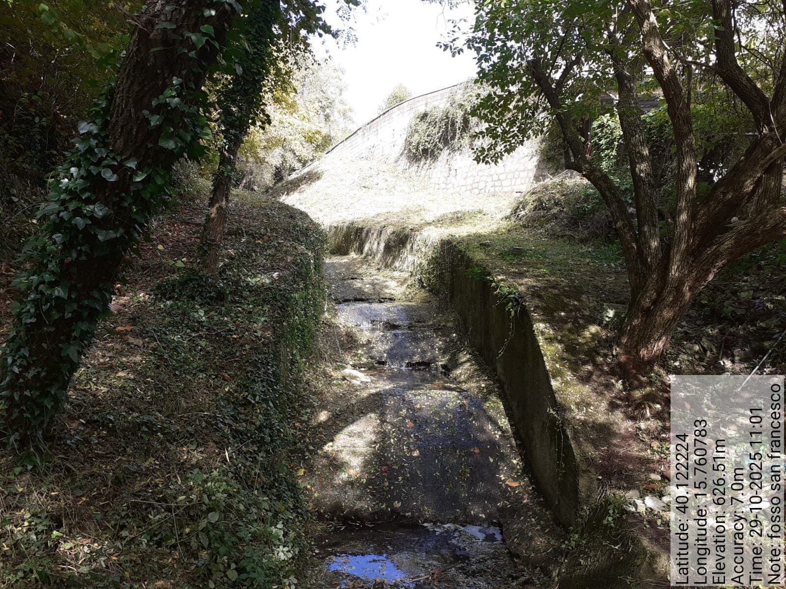 Galleria Fotografica Immagine