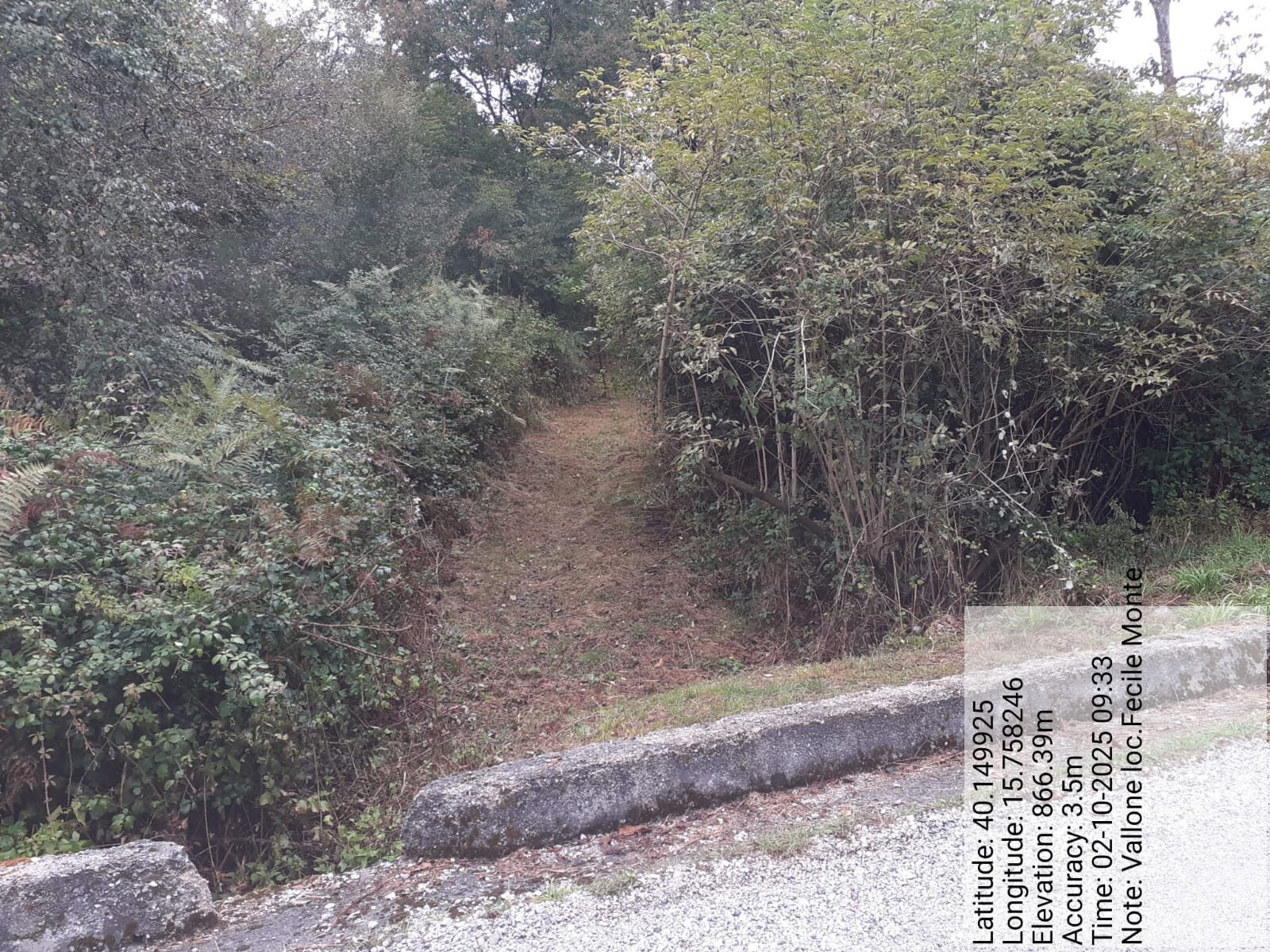 Galleria Fotografica Immagine