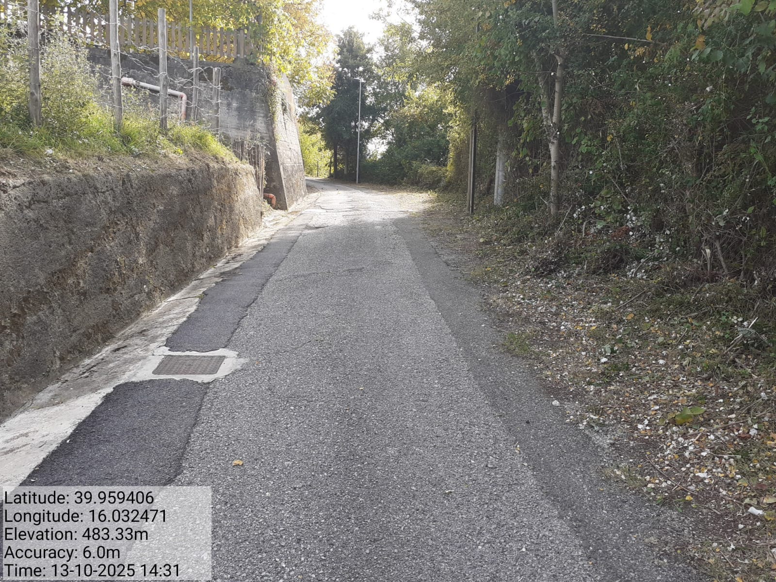 Galleria Fotografica Immagine