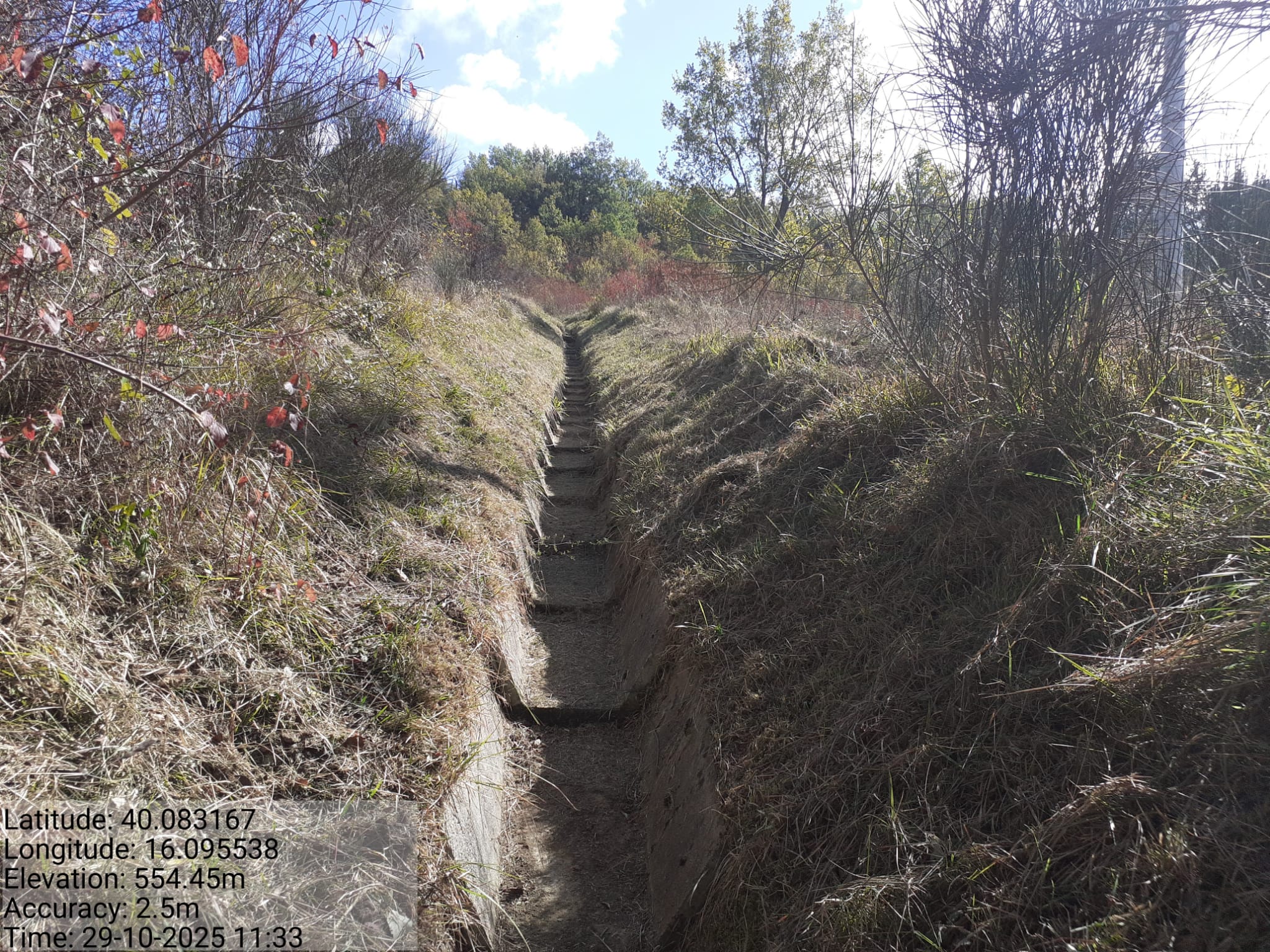 Galleria Fotografica Immagine