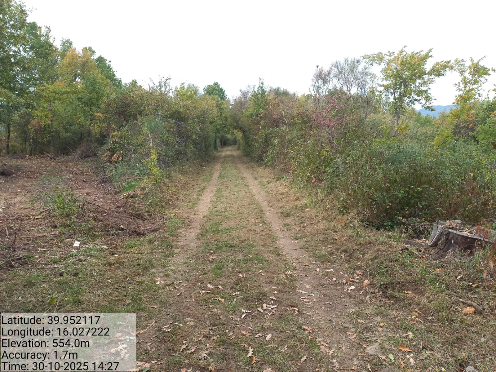 Galleria Fotografica Immagine