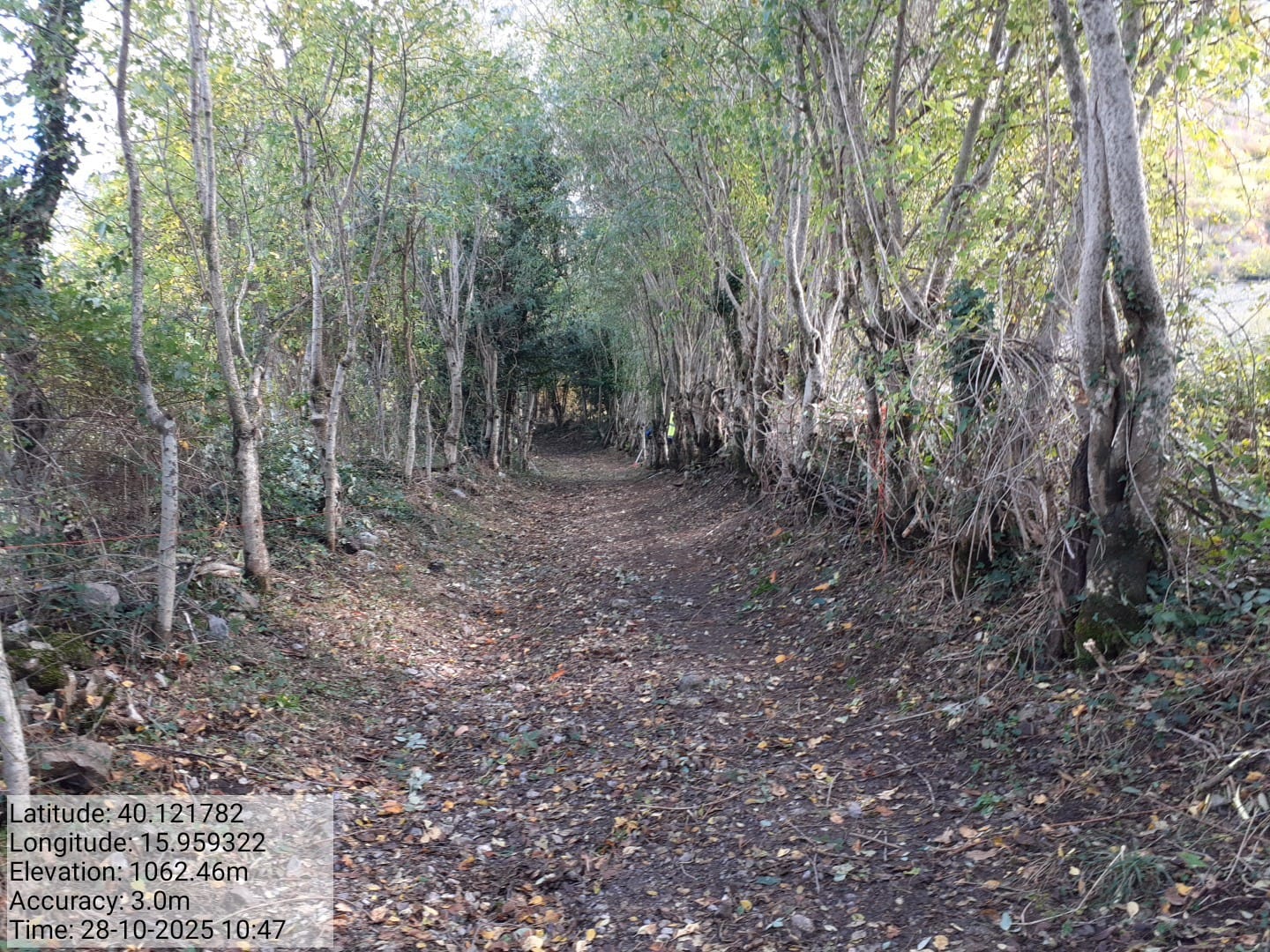 Galleria Fotografica Immagine