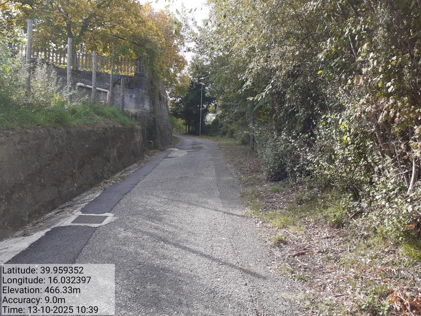 Galleria Fotografica Immagine