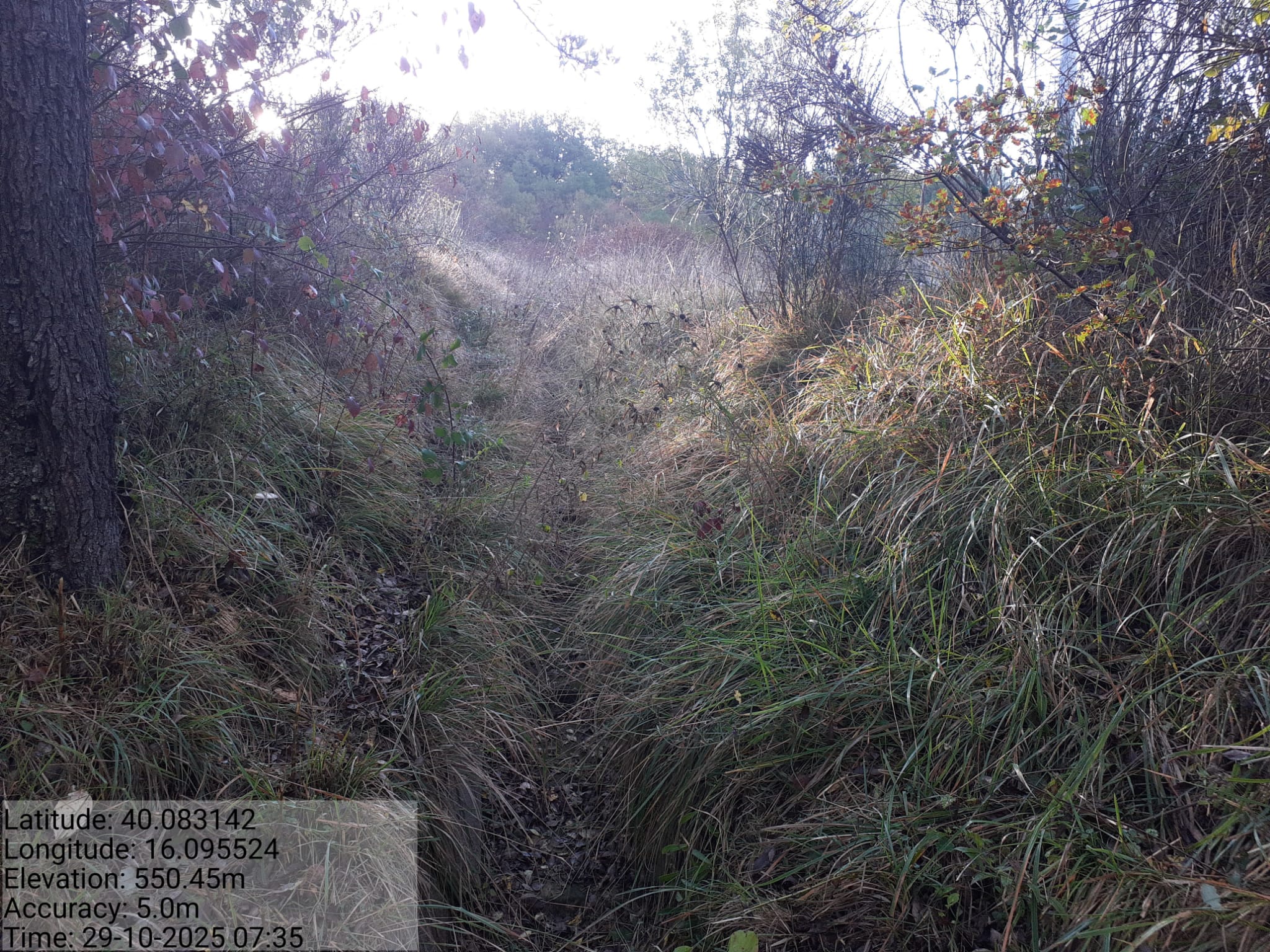 Galleria Fotografica Immagine