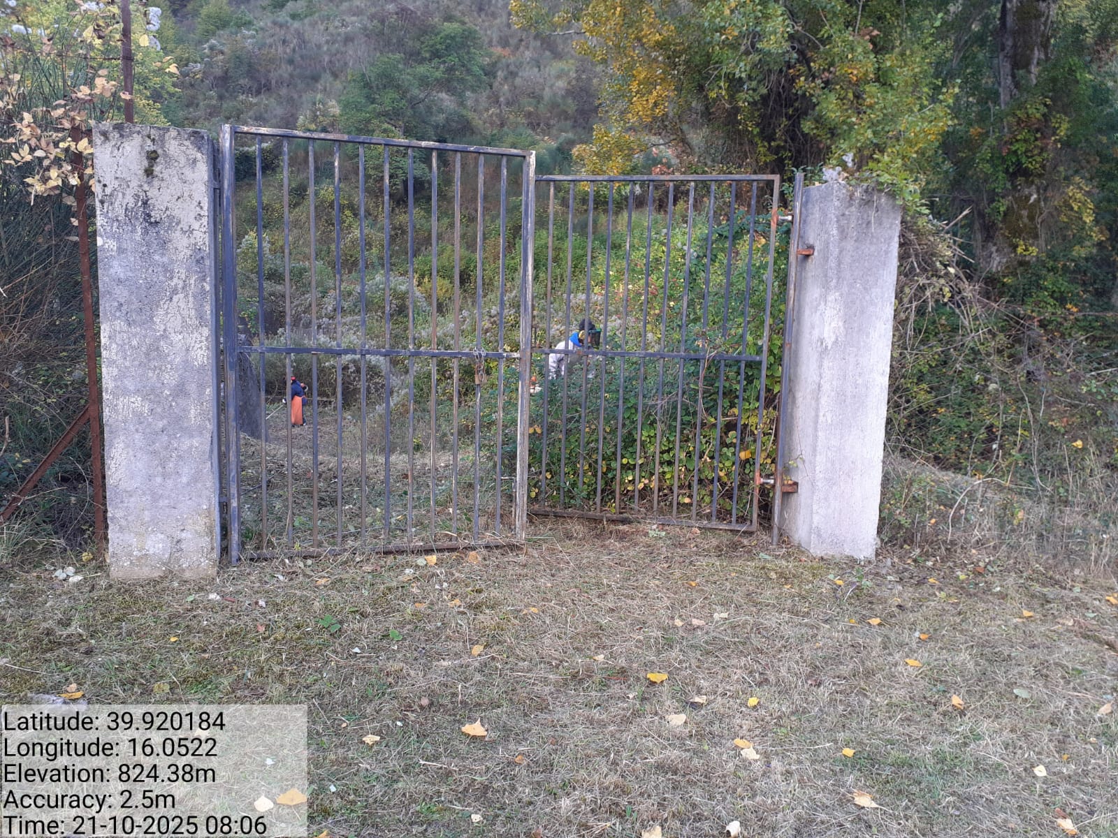 Galleria Fotografica Immagine