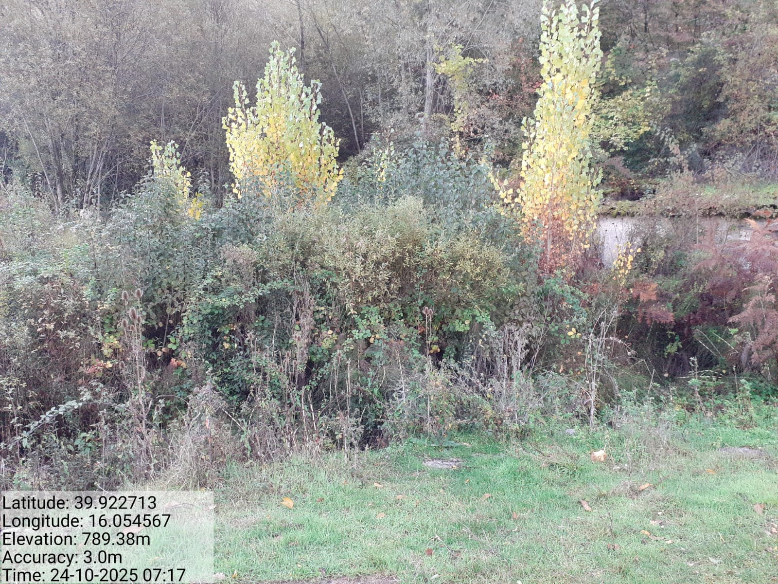 Galleria Fotografica Immagine