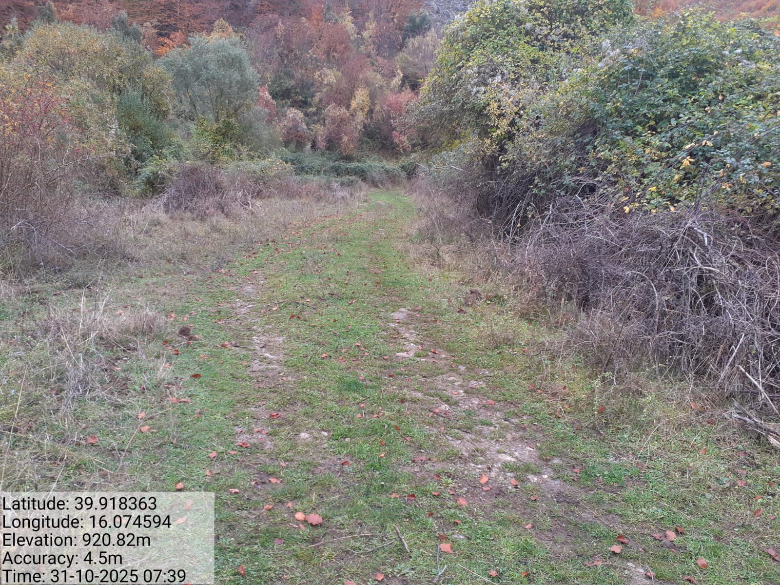 Galleria Fotografica Immagine