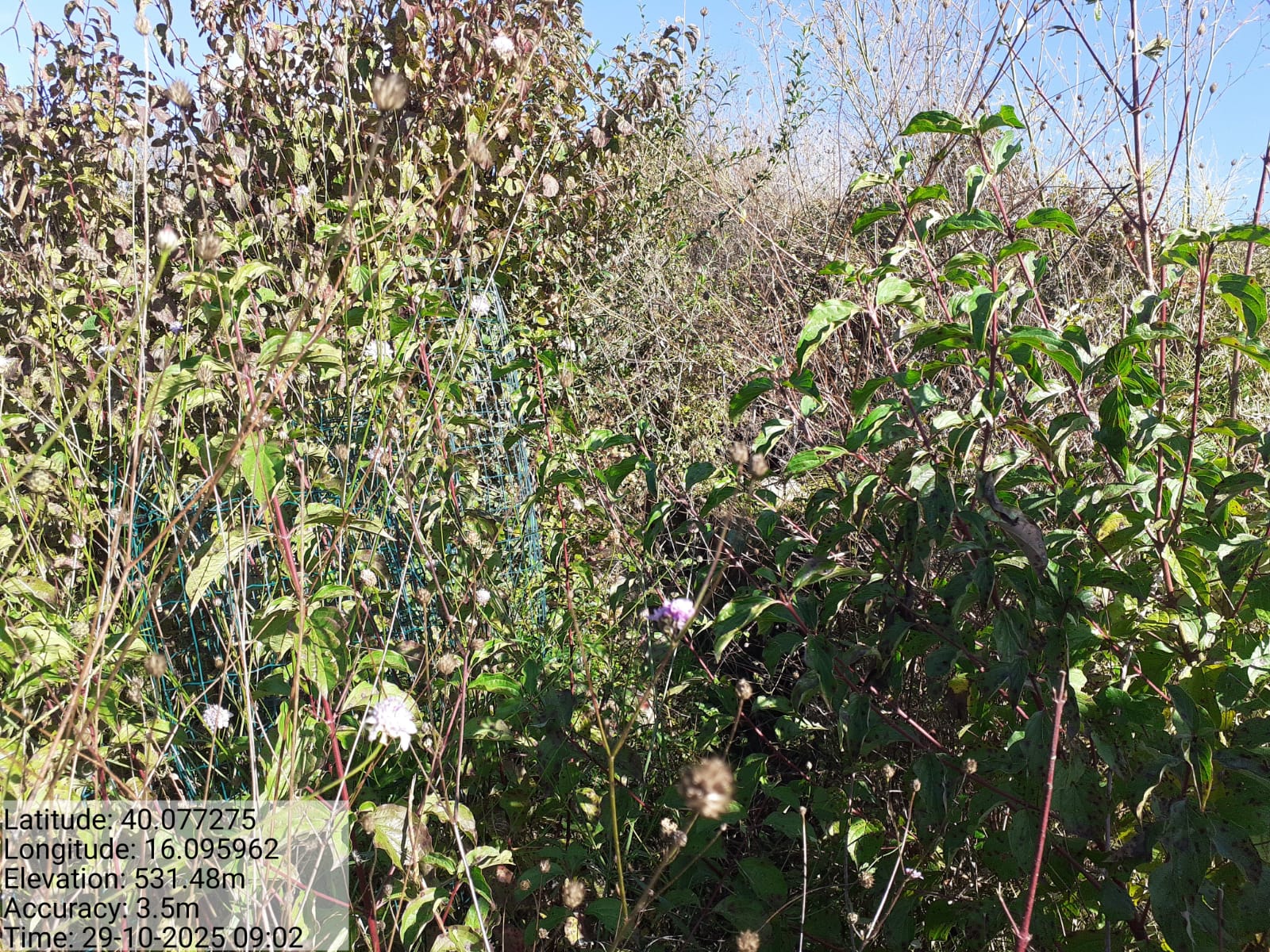 Galleria Fotografica Immagine