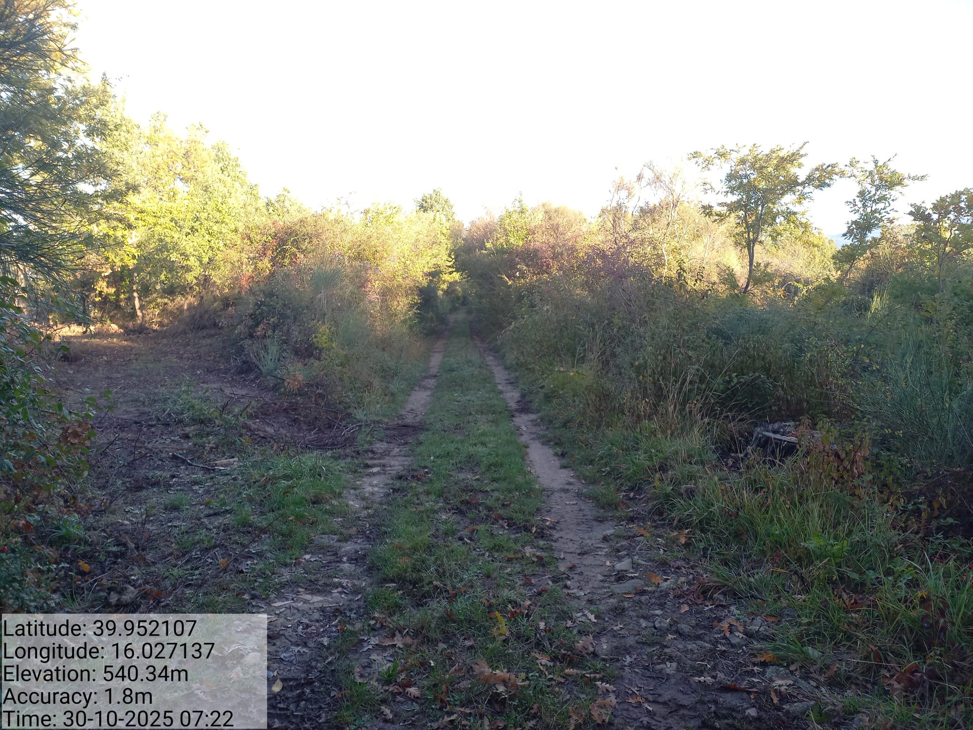 Galleria Fotografica Immagine