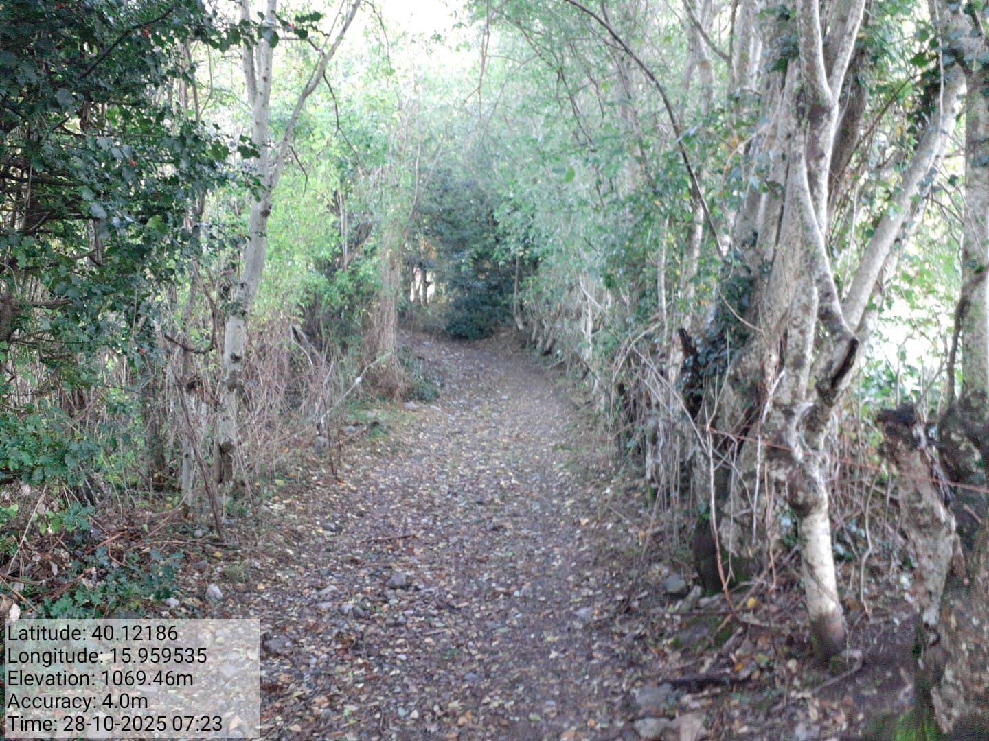 Galleria Fotografica Immagine