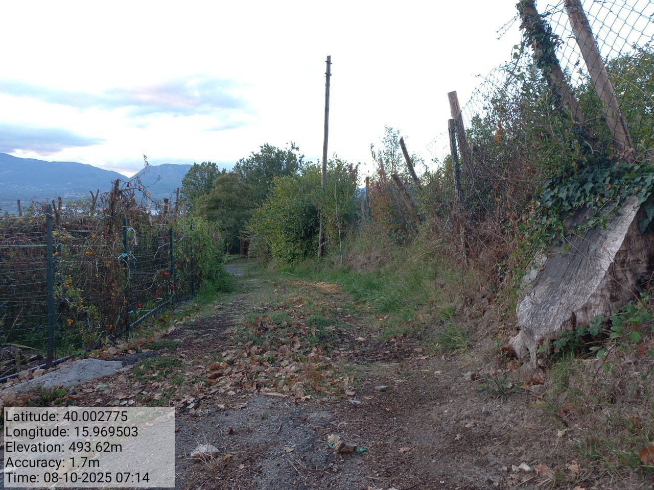 Galleria Fotografica Immagine