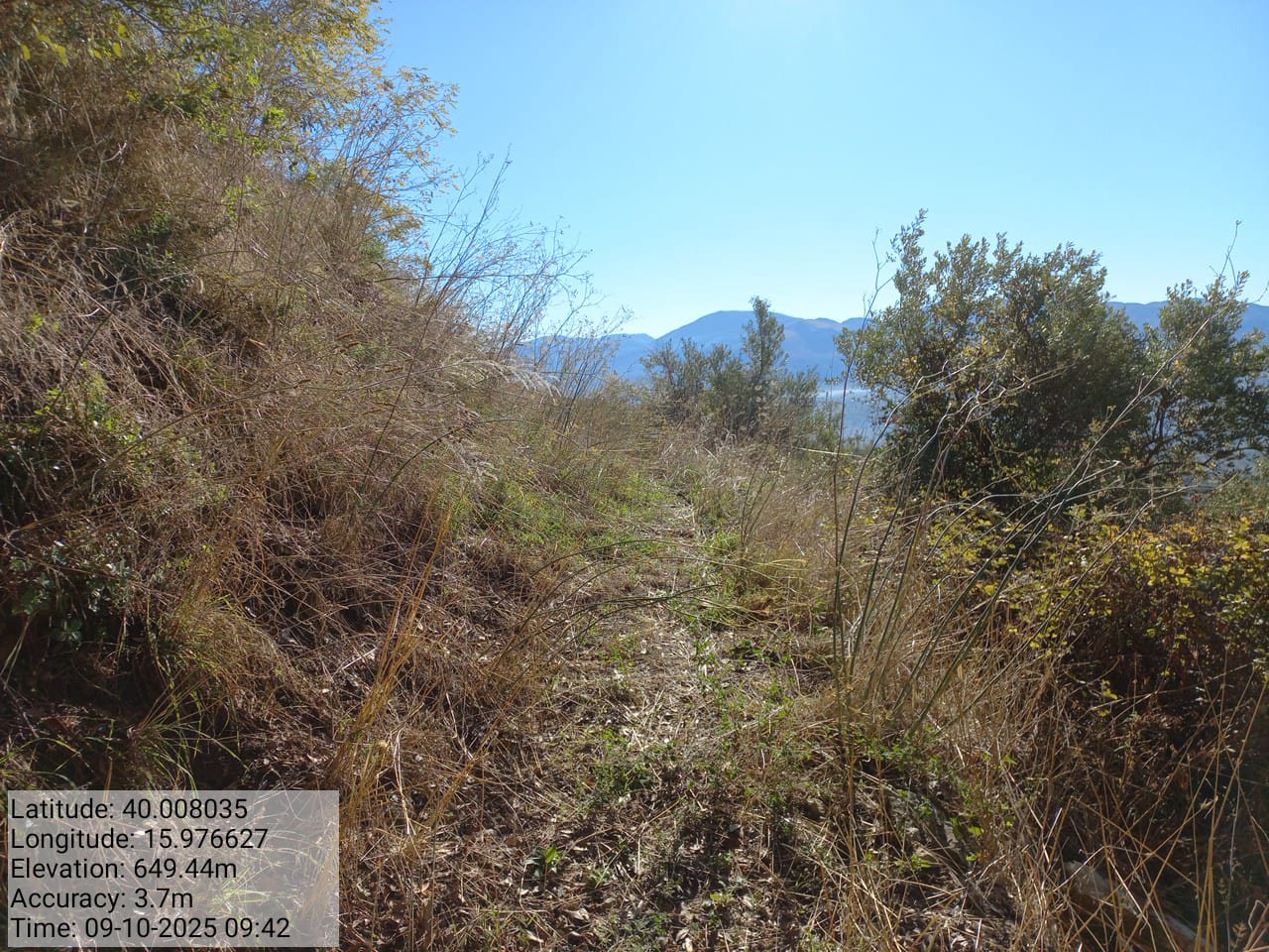 Galleria Fotografica Immagine