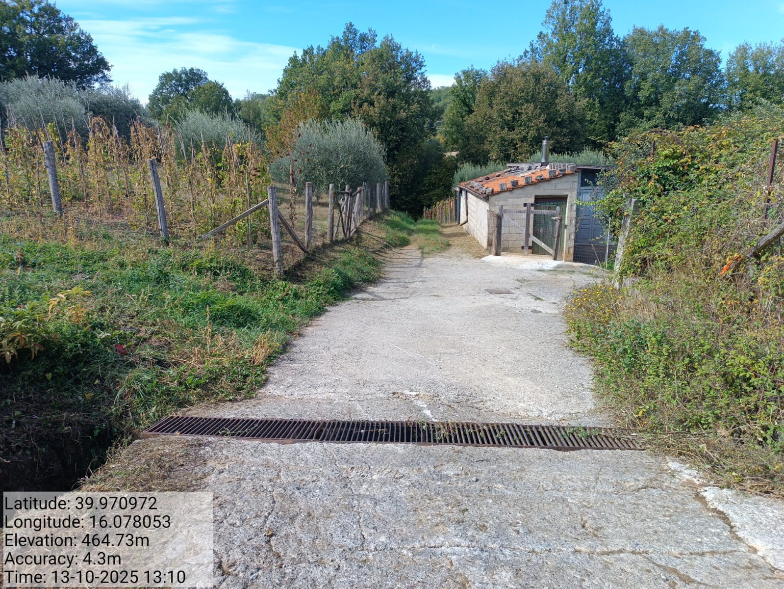 Galleria Fotografica Immagine