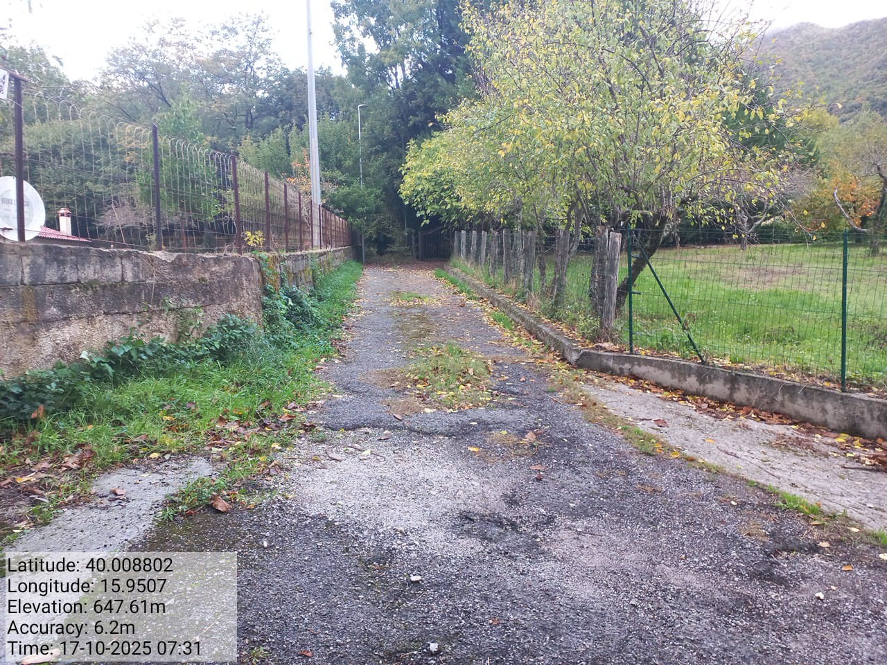 Galleria Fotografica Immagine