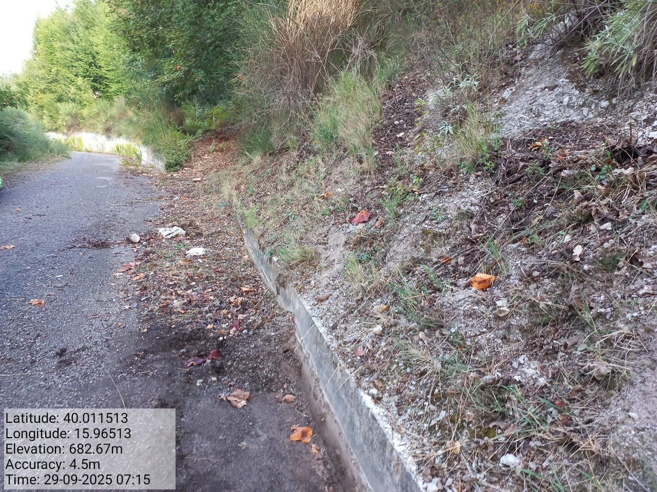 Galleria Fotografica Immagine