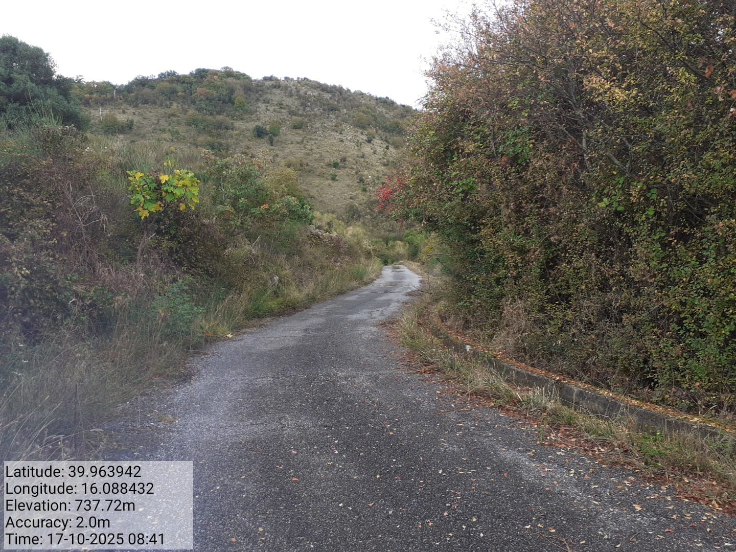 Galleria Fotografica Immagine