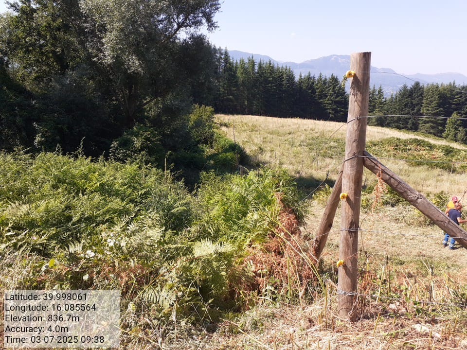 Galleria Fotografica Immagine