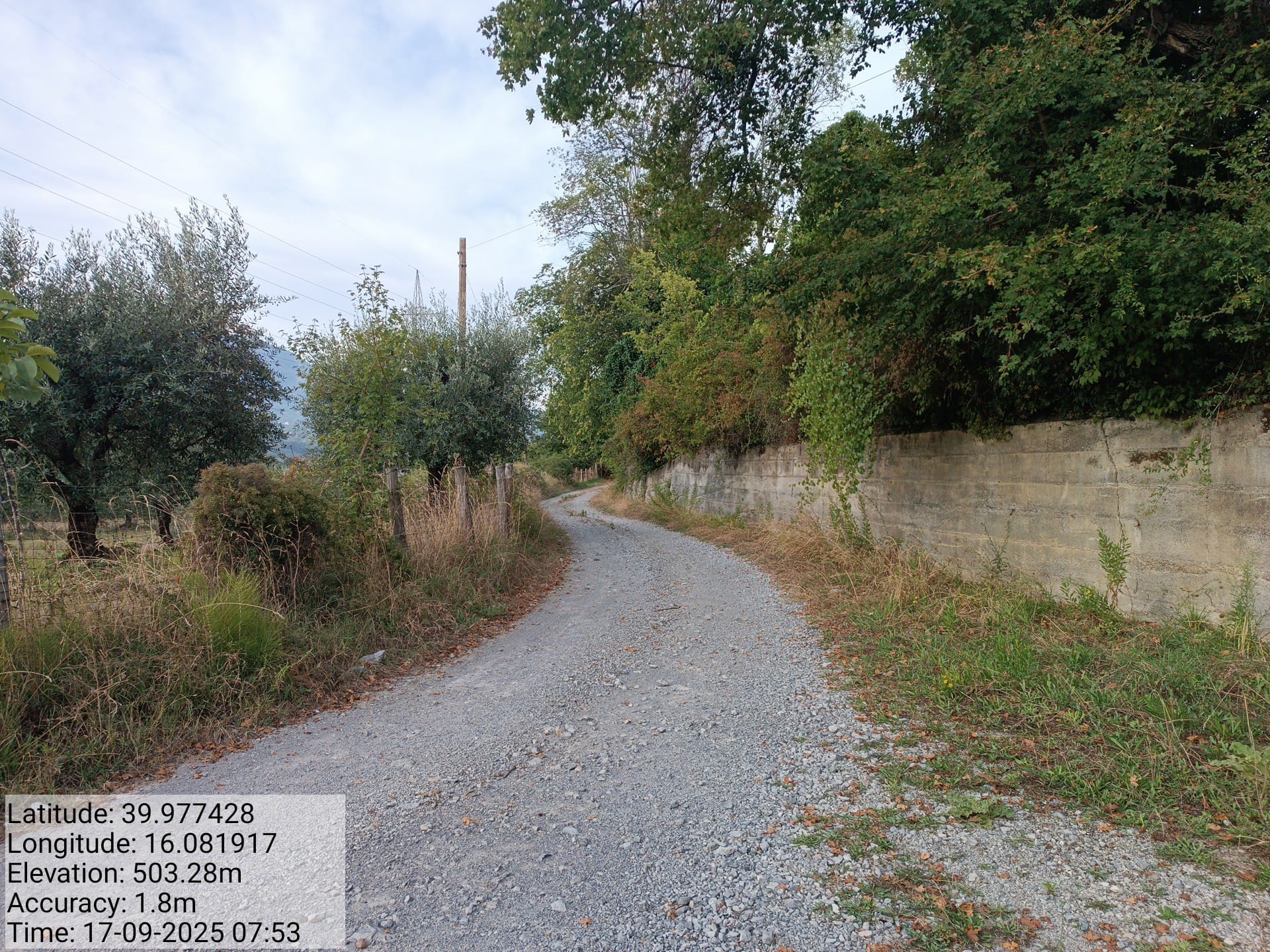 Galleria Fotografica Immagine