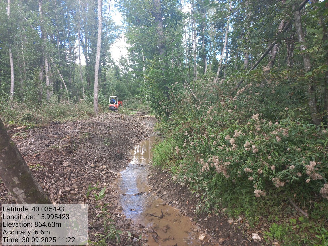 Galleria Fotografica Immagine