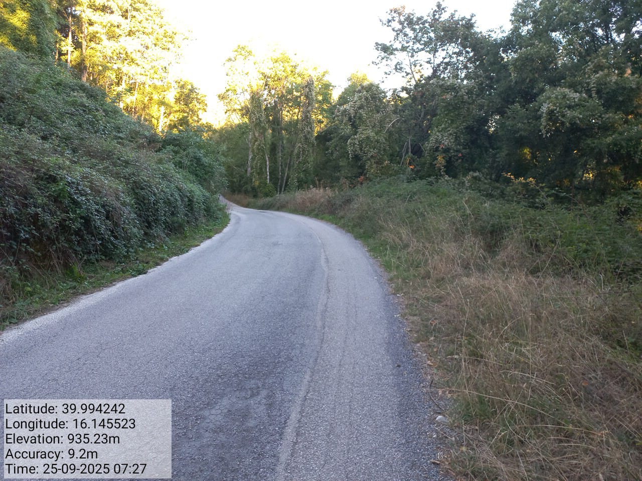 Galleria Fotografica Immagine