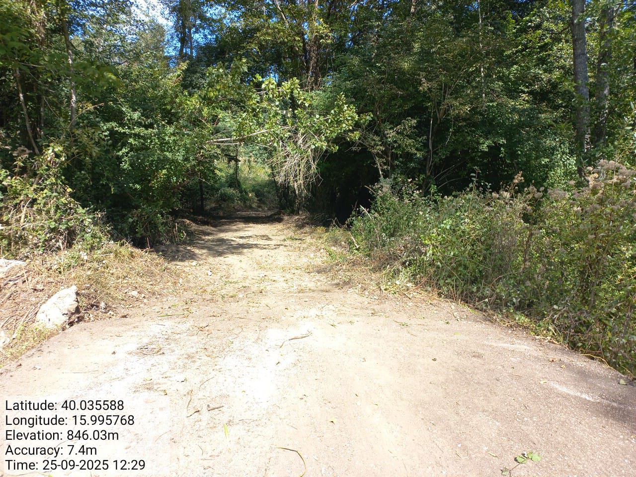 Galleria Fotografica Immagine