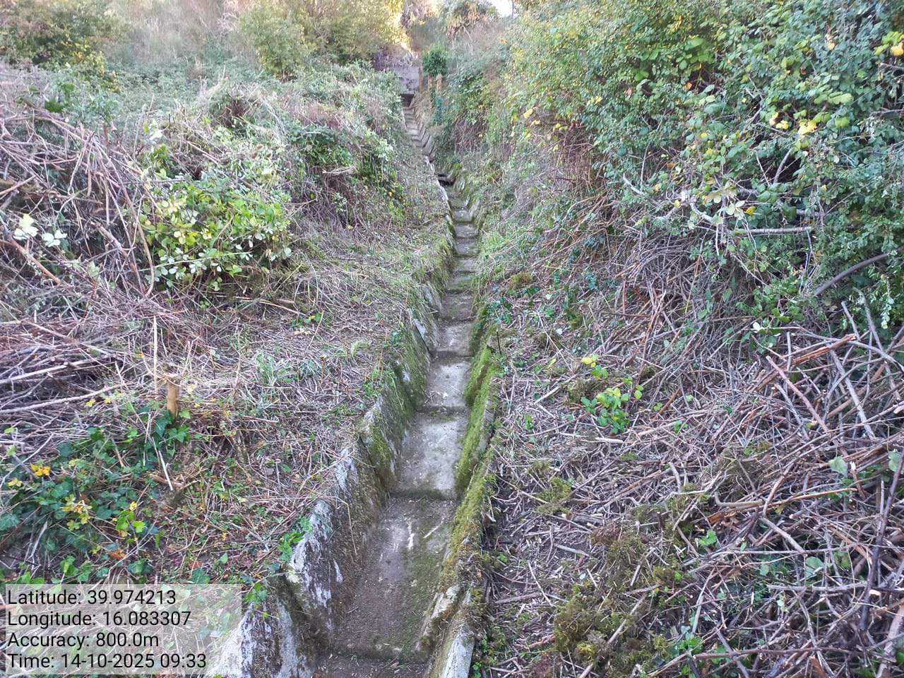 Galleria Fotografica Immagine